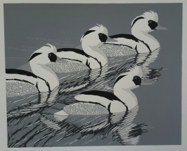 Smew Parade 360 mm x 290 mm edition of 14