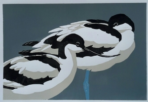 Avocet 300 mm x 200 mm edition of 10 sold out